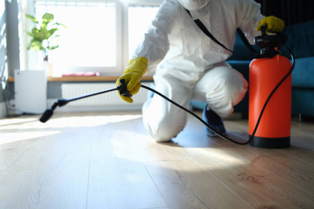 Reliable Odor Removal contractor in Rutherford, NJ by Trauma Clean Pros